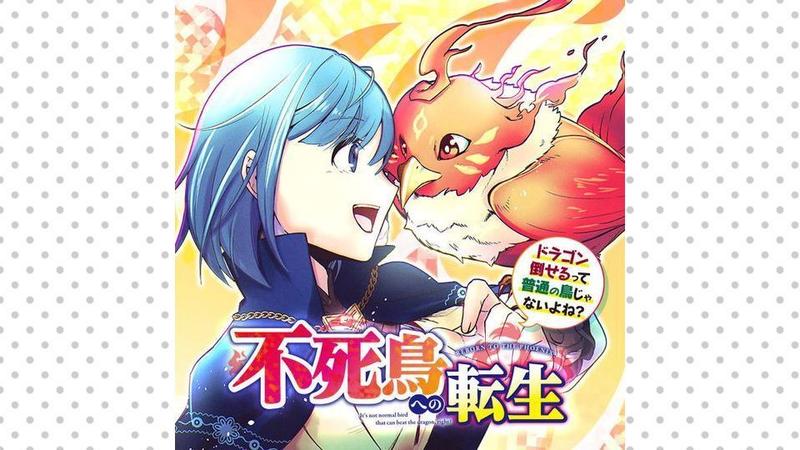 不死鳥への転生 ドラゴン倒せるって普通の鳥じゃないよね？