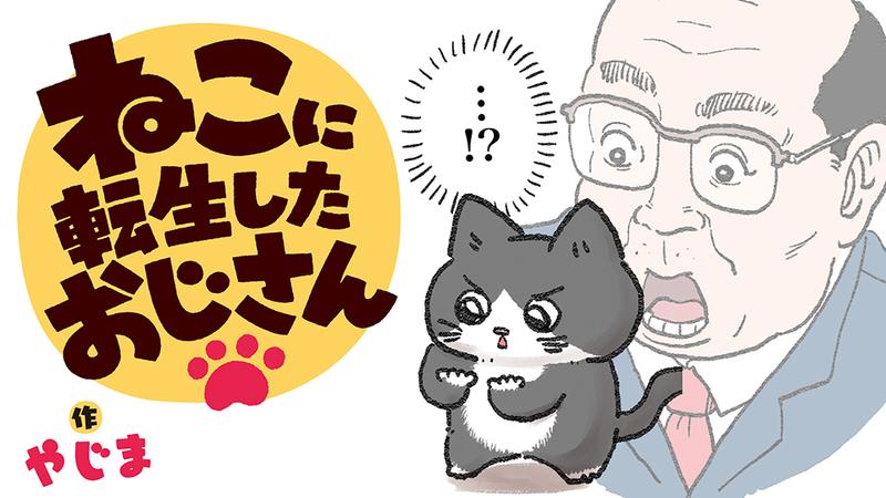 ねこに転生したおじさん