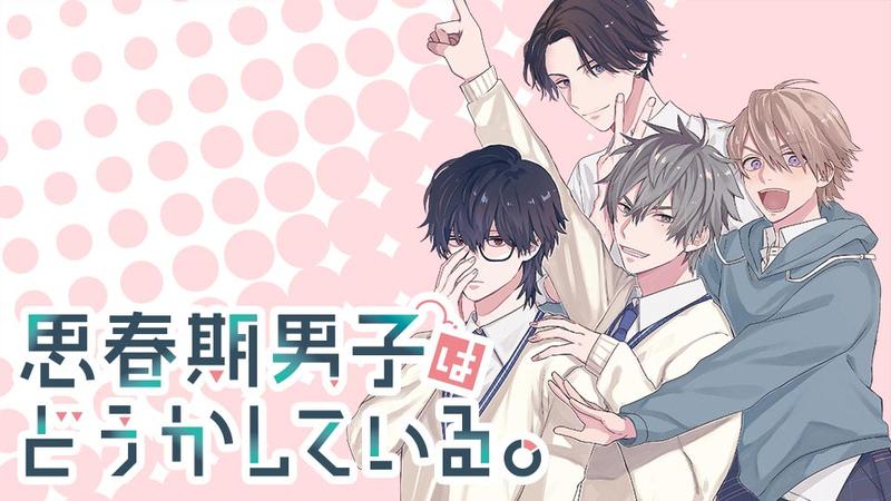 思春期男子はどうかしている。