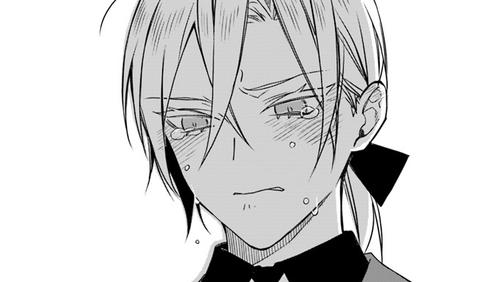 わたくしのことが大嫌いな義弟が護衛騎士になりました｜カドコミ