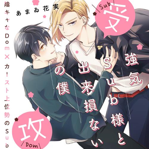 強気Sub様と出来損ないの僕