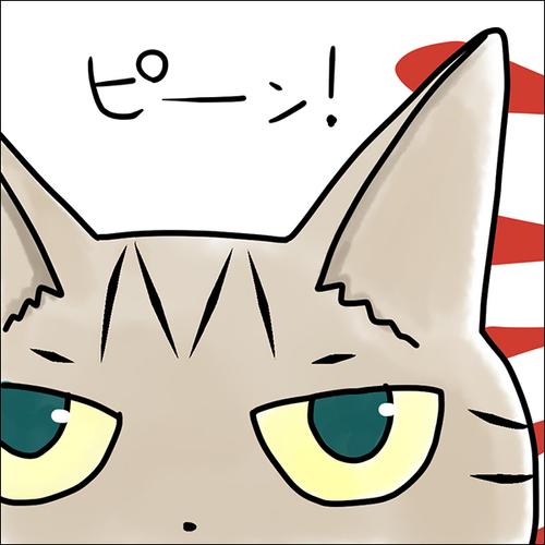 にゃんだふるライフ
