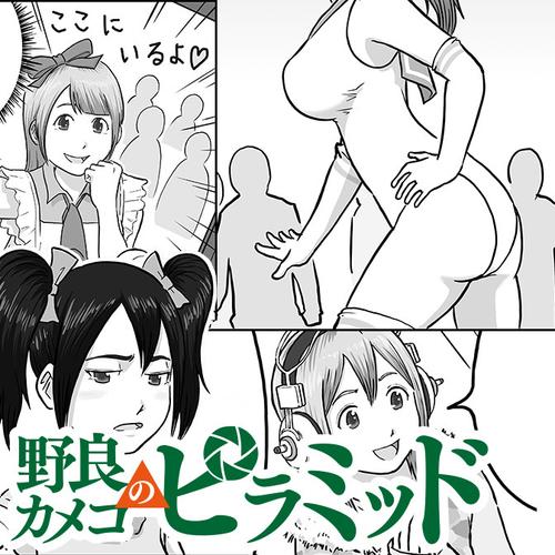 野良カメコのピラミッド