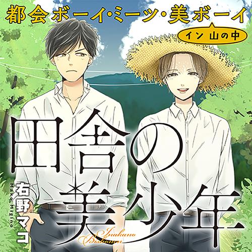 田舎の美少年