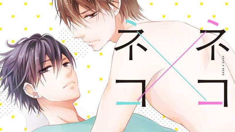 ネコ×ネコ