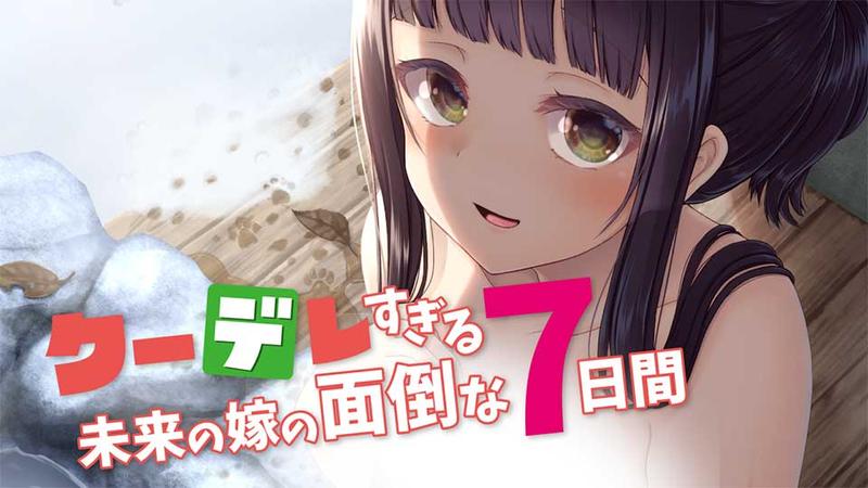 クーデレすぎる未来の嫁の面倒な7日間