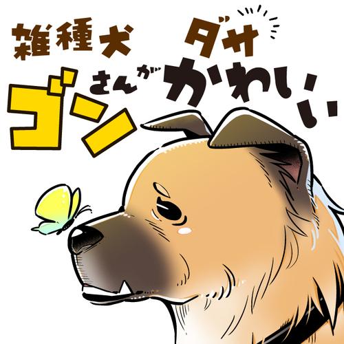 雑種犬ゴンさんがダサかわいい
