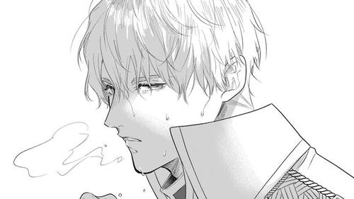 初恋の少年は冷徹騎士に豹変していました 全力で告白されるなんて想定