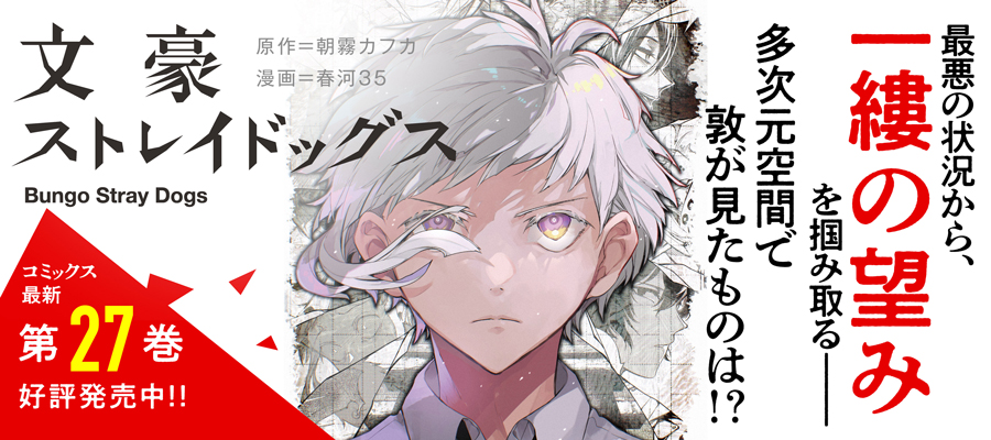 文豪ストレイドッグス(27)発売