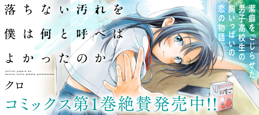 落ちない汚れを僕は何と呼べばよかったのか