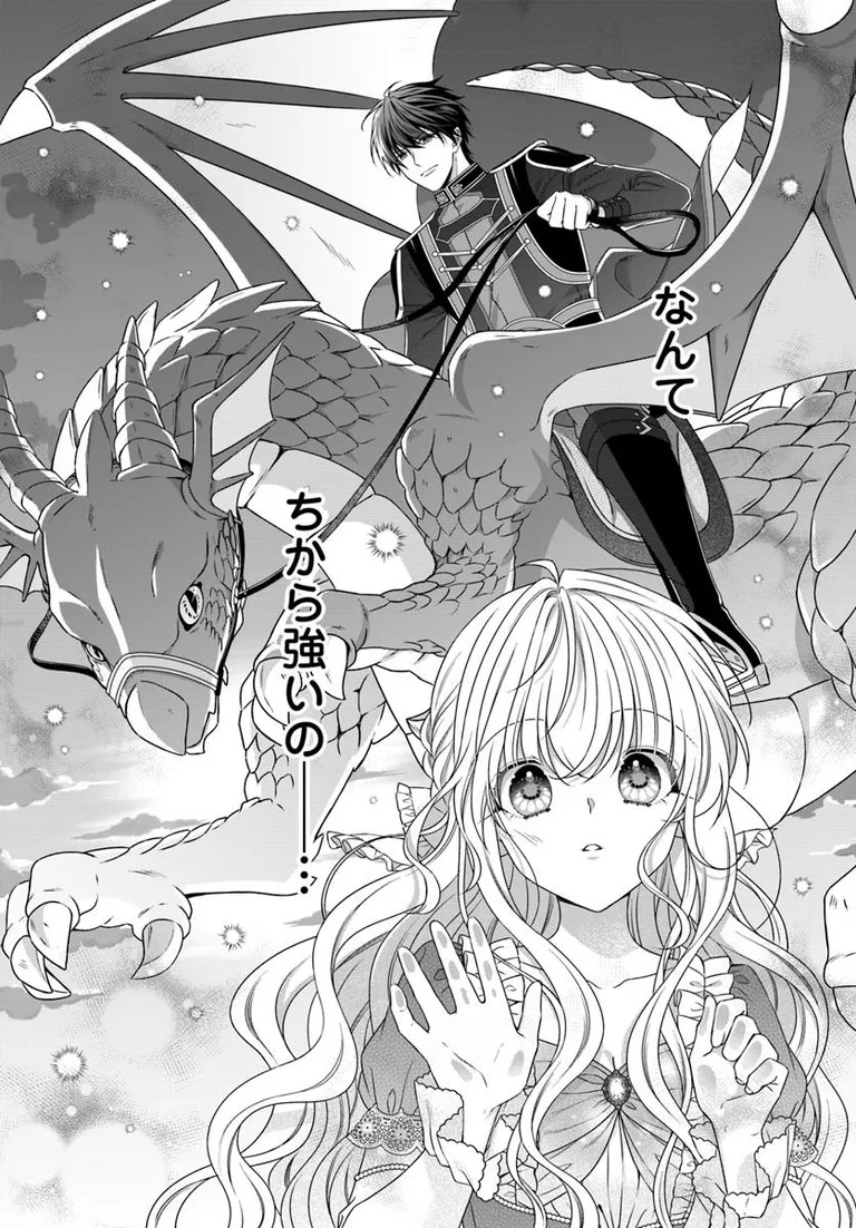 王女でしたがこっそり竜騎士団の専属薬師になりました!